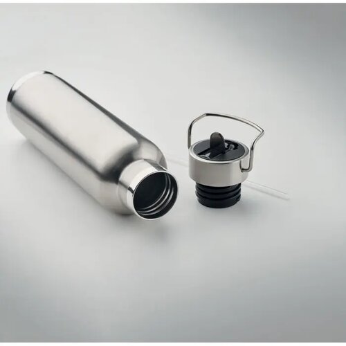 Dubbelwandige isoleerfles met rietje 660 ml Zilver